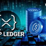 USDC to XRPL? XRP Expert Says Ripple Should Step In