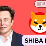 Shiba Inu Lead Reacts to Elon Musk Meme Endorsement