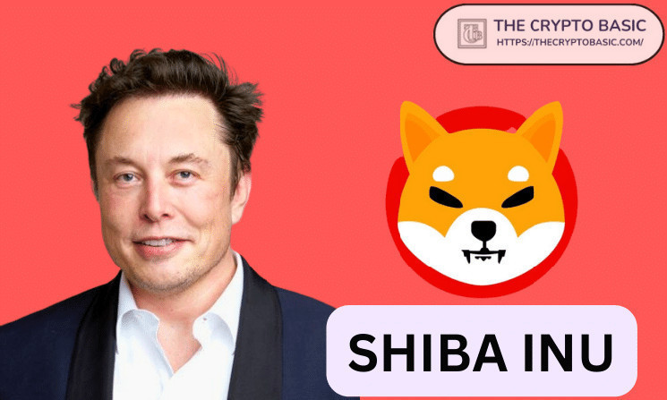 Shiba Inu Lead Reacts to Elon Musk Meme Endorsement