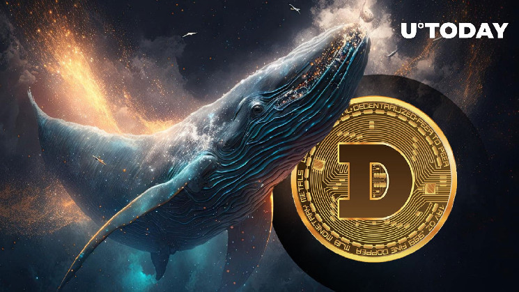 300 Million Dogecoin Snatched by Mysterious Whale After Elon Musk’s Tweet