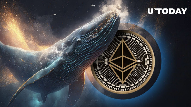 Whales Go on Huge ETH Buying Spree as Price Falls